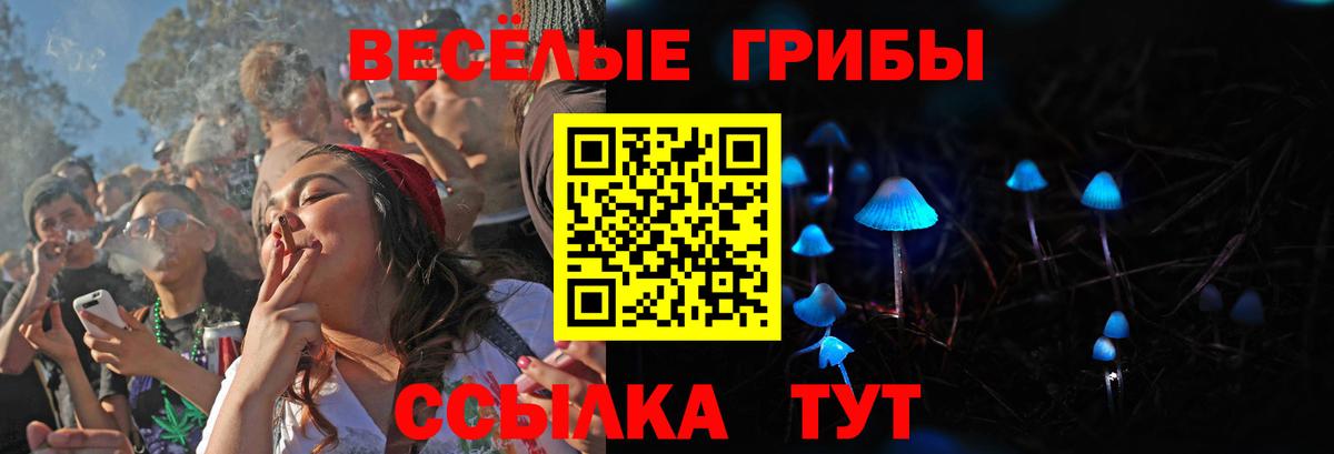 Прохладный  Псилоцибиновые грибы прущие грибы  Вход с VPN  Псилоцибиновые грибы ЛСД 
