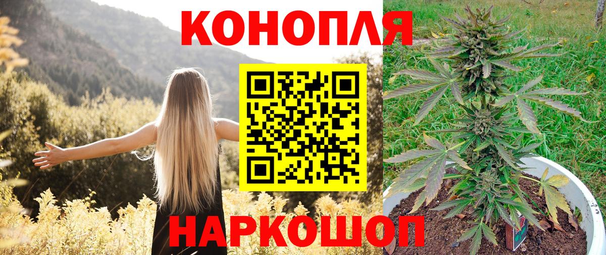 Марихуана семена  Вход с VPN  Бошки марихуана SATIVA & INDICA  Канабис конопля  Канабис планчик  Прохладный 